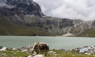 The Everest Gokyo Lake Trek