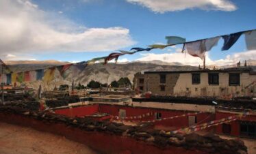 Mustang Trek